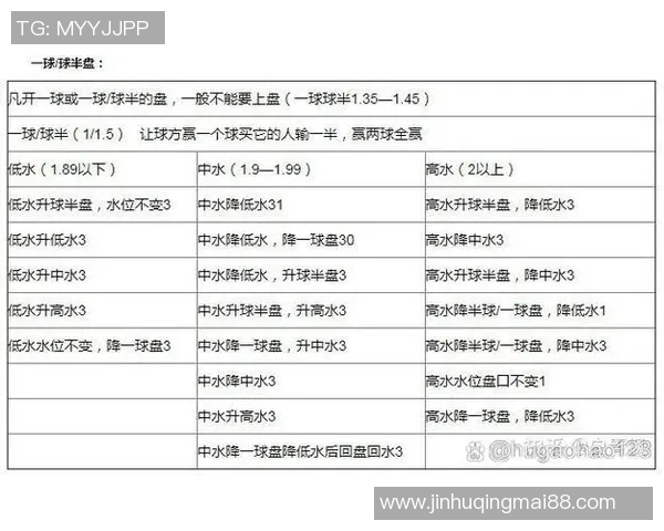 足球下盘解析与投注策略探讨助你赢得更多比赛收益
